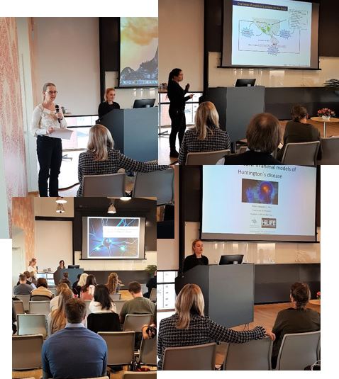 Collage of photos from the Nordic HD Research Meeting