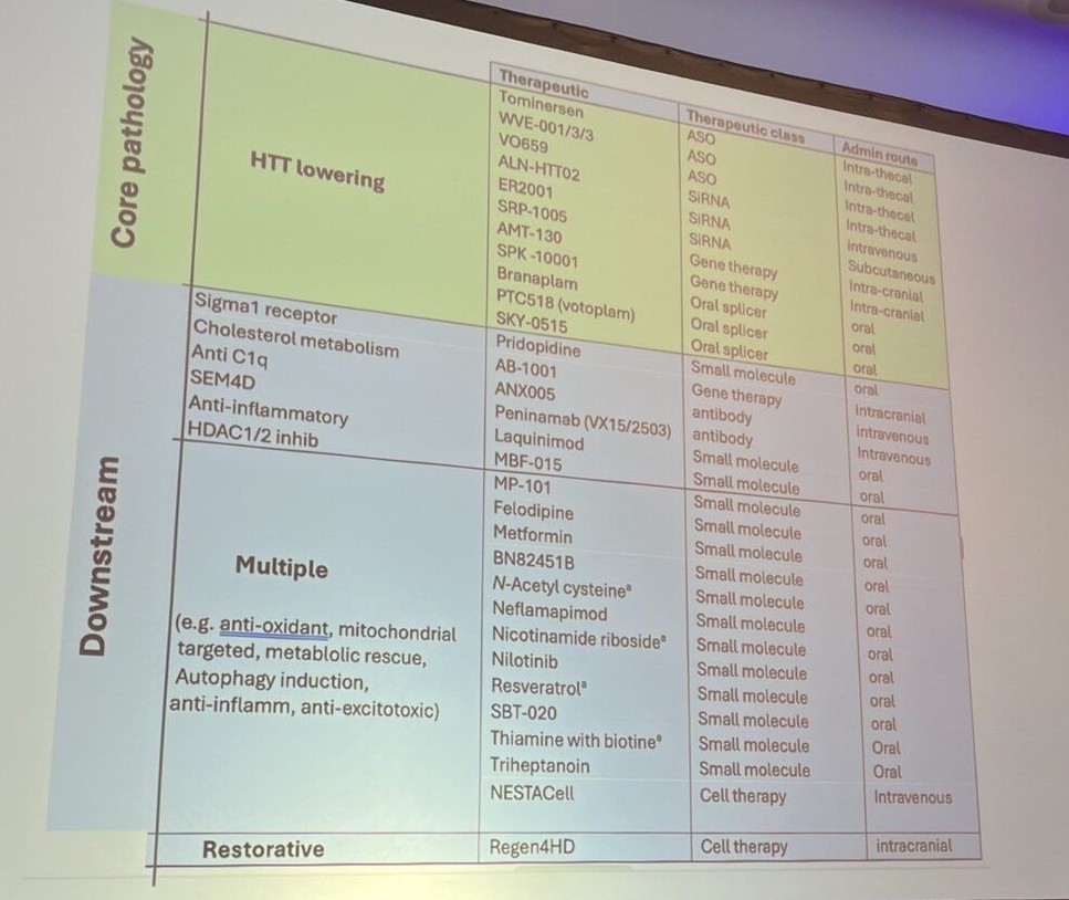 Tabell från en presentation på symposiet